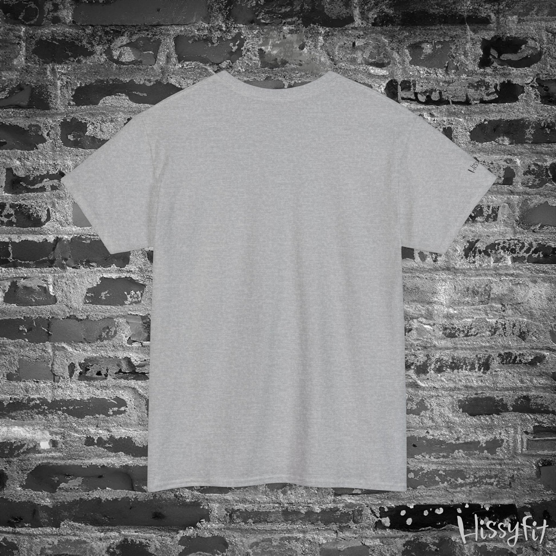 Gray t-shirt on a brick wall with 'Hissyfit' branding.
